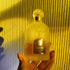 Отзыв Guerlain Insolence