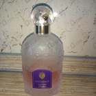Отзывы Guerlain Insolence