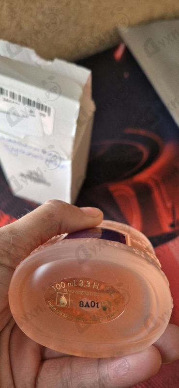 Купить Insolence от Guerlain
