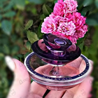 Духи Insolence от Guerlain