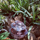 Отзыв Guerlain Insolence