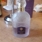 Парфюм Guerlain Insolence