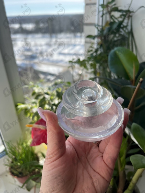 Купить Insolence Eau de  Glacee от Guerlain