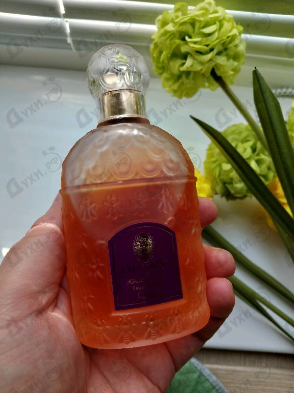 Отзывы Guerlain L'instant