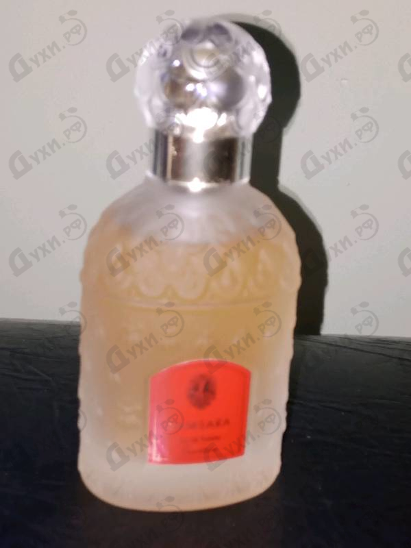 Парфюмерия Samsara от Guerlain