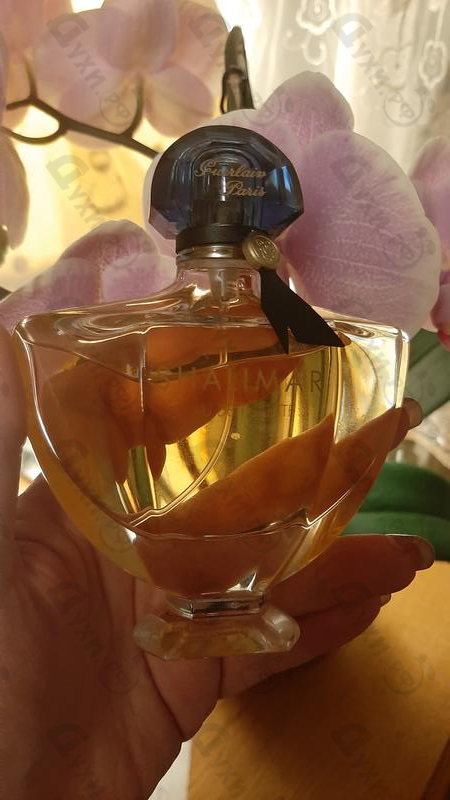 Отзывы Guerlain Shalimar