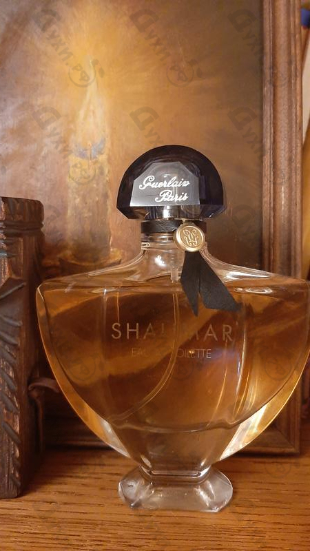 Парфюмерия Shalimar от Guerlain