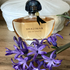 Парфюмерия Shalimar от Guerlain Отзыв Guerlain Shalimar