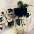 Духи Guy Laroche Fidji Парфюмерия Fidji от Guy Laroche