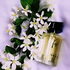 Купить Fidji от Guy Laroche Отзывы Guy Laroche Fidji
