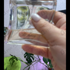 Отзыв Hermes 24,faubourg Eau Delicate