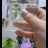 Отзыв Hermes 24,faubourg Eau Delicate