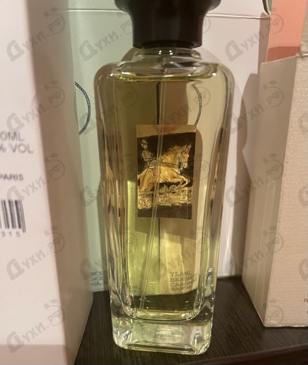 Купить Hermes Amazone