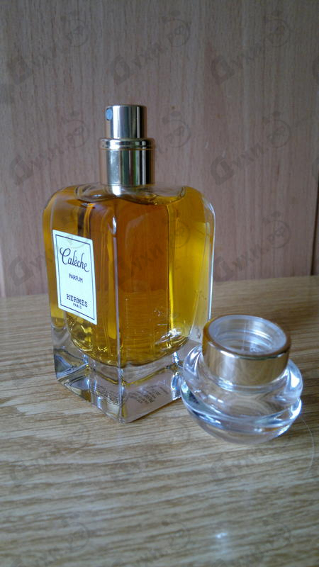 Отзывы Hermes Caleche Купить Caleche от Hermes