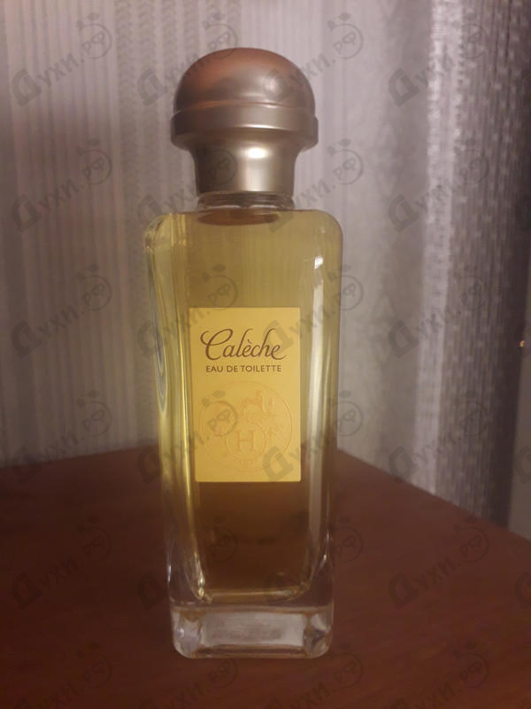 Купить Caleche от Hermes Отзывы Hermes Caleche