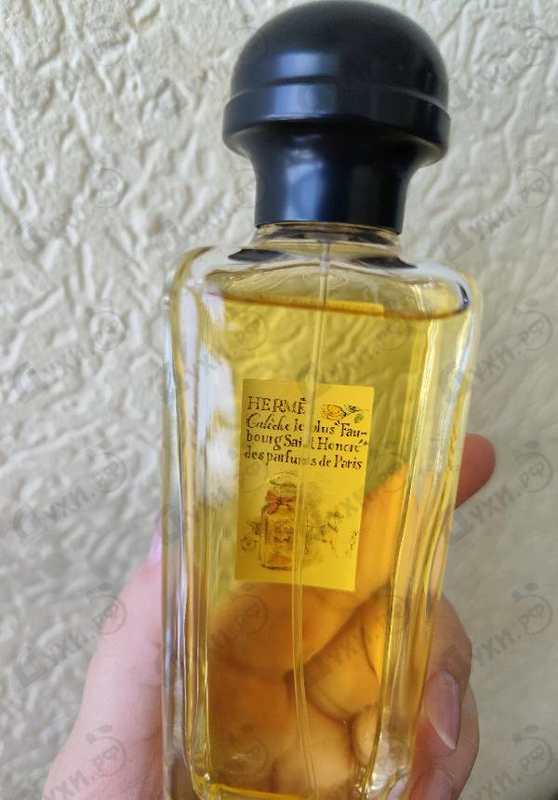Отзывы Hermes Caleche