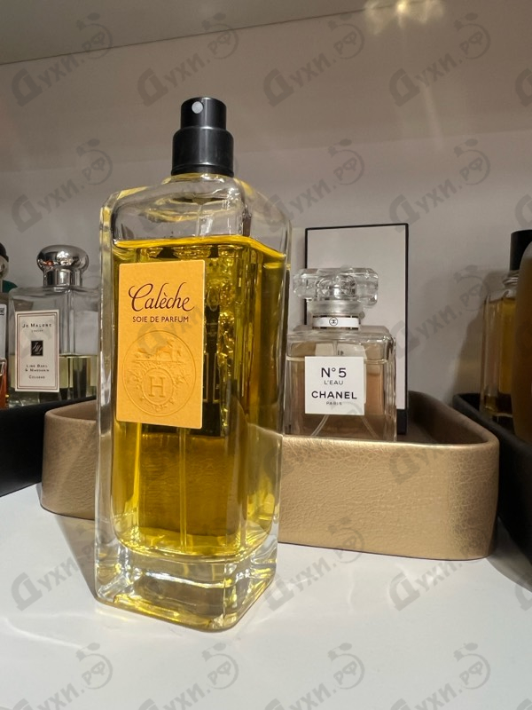 Купить Caleche от Hermes