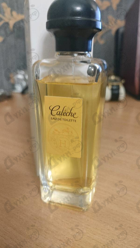 Купить Caleche от Hermes