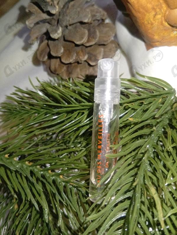 Парфюмерия Hermes Eau Des Merveilles