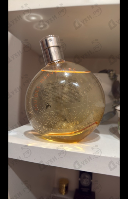 Купить Eau Des Merveilles от Hermes