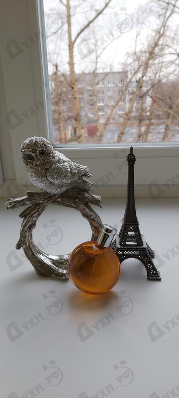 Купить Eau Des Merveilles Elixir от Hermes Парфюмерия Hermes Eau Des Merveilles Elixir