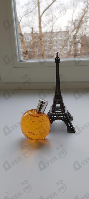 Купить Eau Des Merveilles Elixir от Hermes