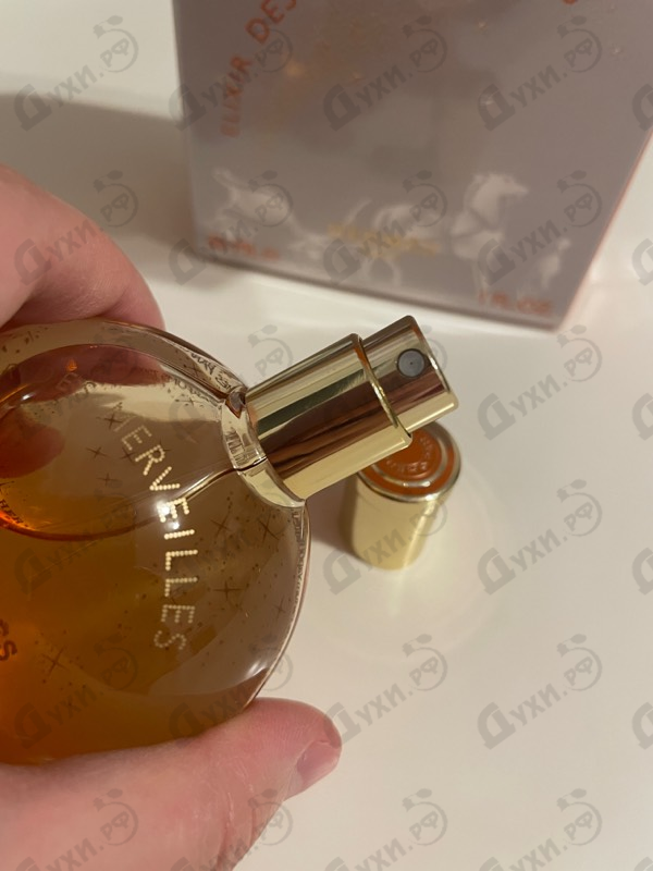 Купить Eau Des Merveilles Elixir от Hermes