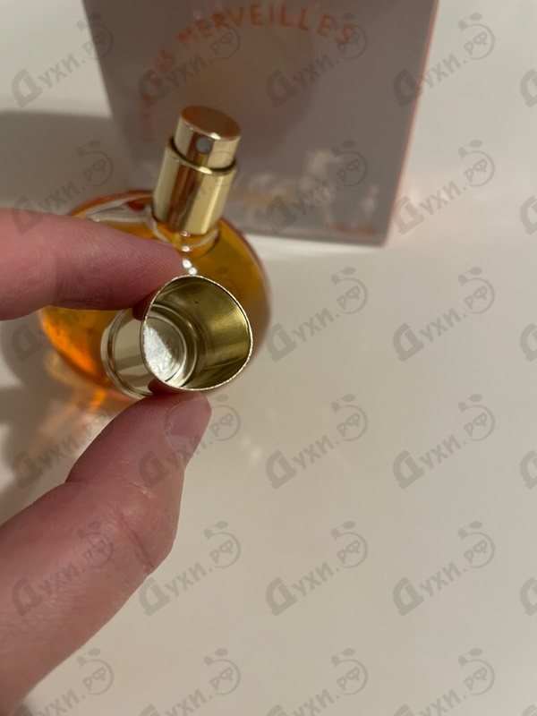 Купить Eau Des Merveilles Elixir от Hermes