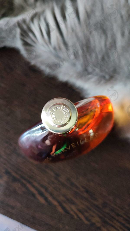 Купить Hermes Eau Des Merveilles Elixir