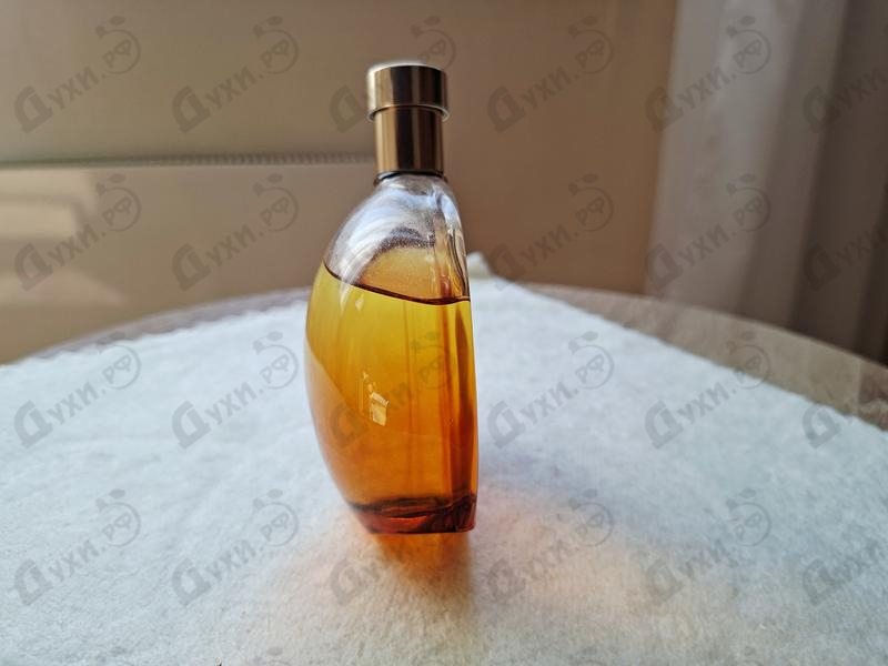 Купить Eau Des Merveilles Elixir от Hermes