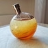 Купить Eau Des Merveilles Elixir от Hermes