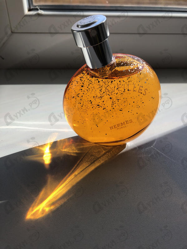 Парфюмерия Eau Des Merveilles Elixir от Hermes Отзывы Hermes Eau Des Merveilles Elixir