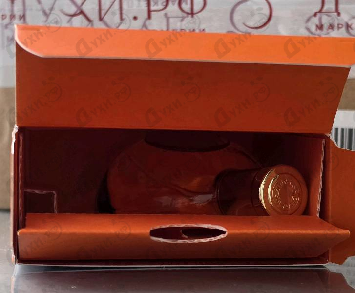 Купить Eau Des Merveilles Elixir от Hermes