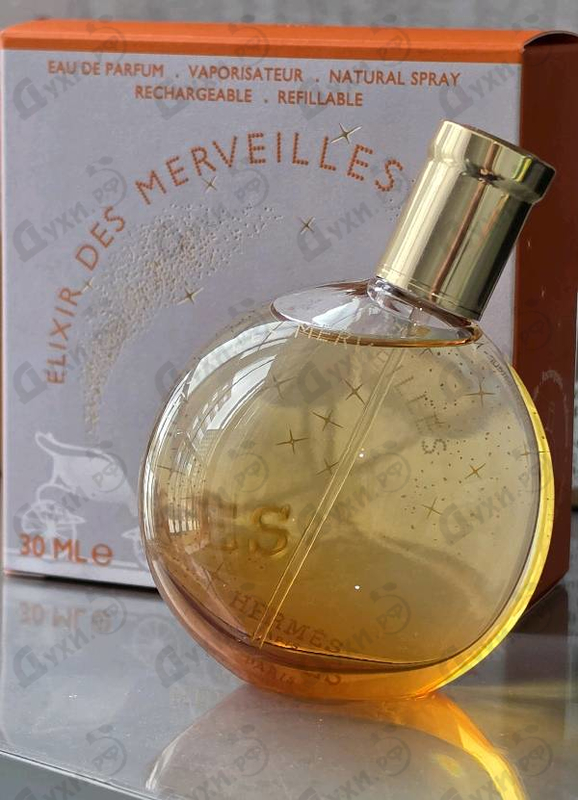 Купить Eau Des Merveilles Elixir от Hermes