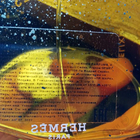 Духи Eau Des Merveilles Elixir от Hermes