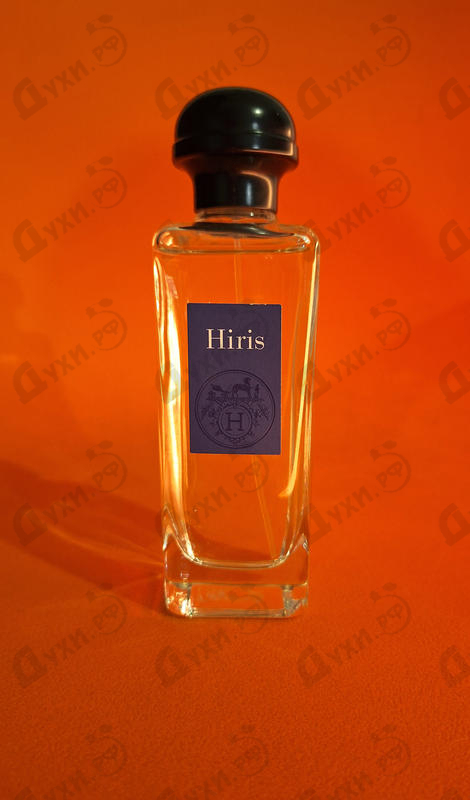 Купить Hermes Hiris