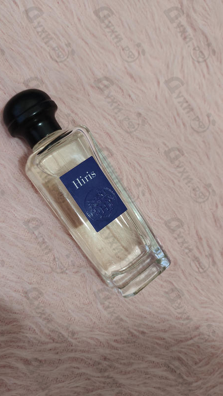 Купить Hermes Hiris