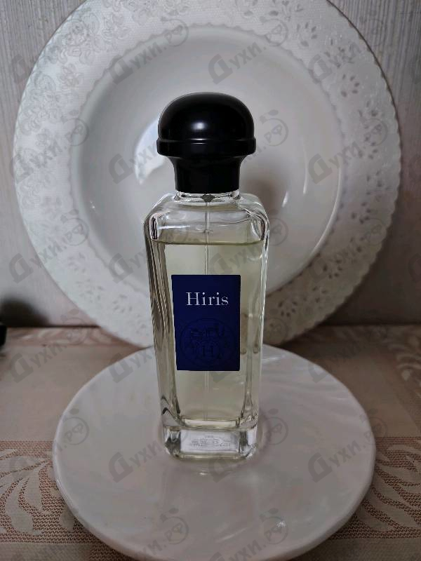 Отзыв Hermes Hiris