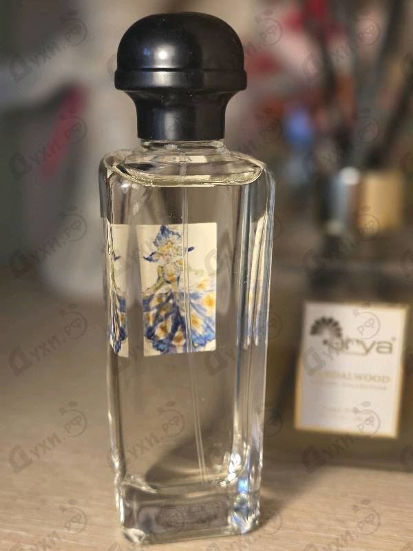 Купить Hermes Hiris