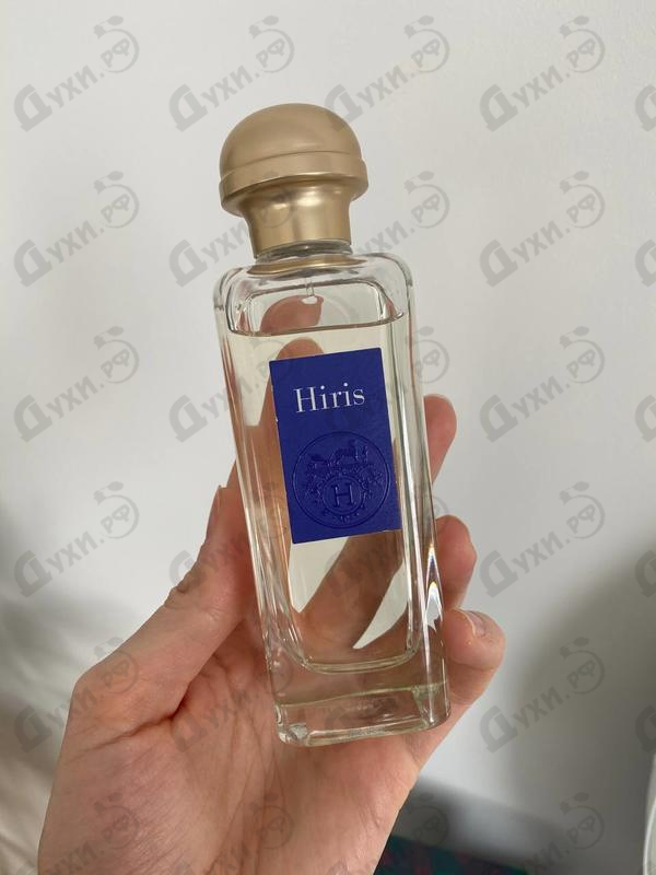 Отзыв Hermes Hiris