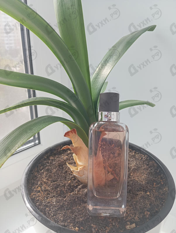 Купить Kelly Caleche от Hermes