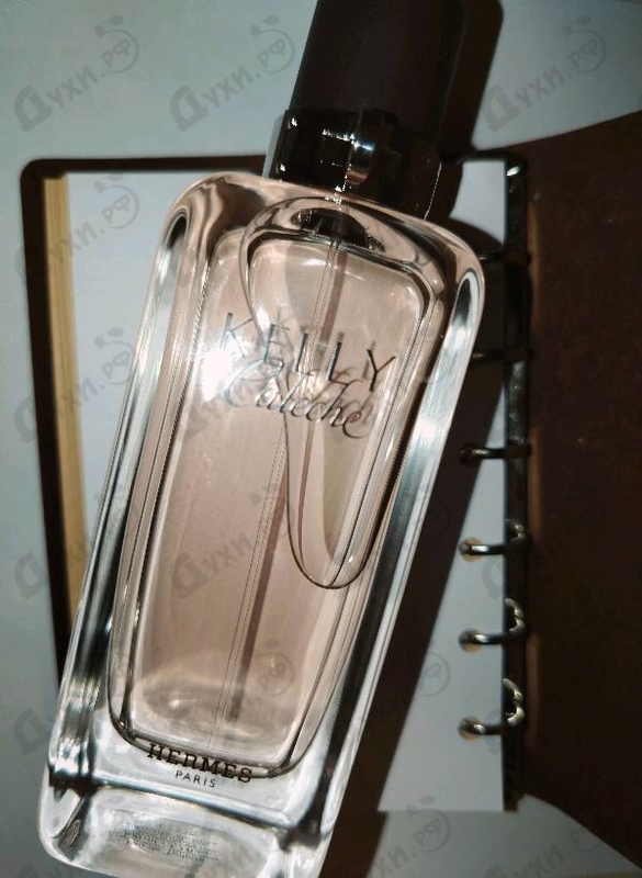 Купить Kelly Caleche от Hermes