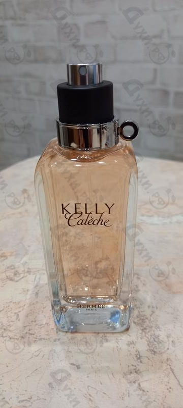Купить Hermes Kelly Caleche