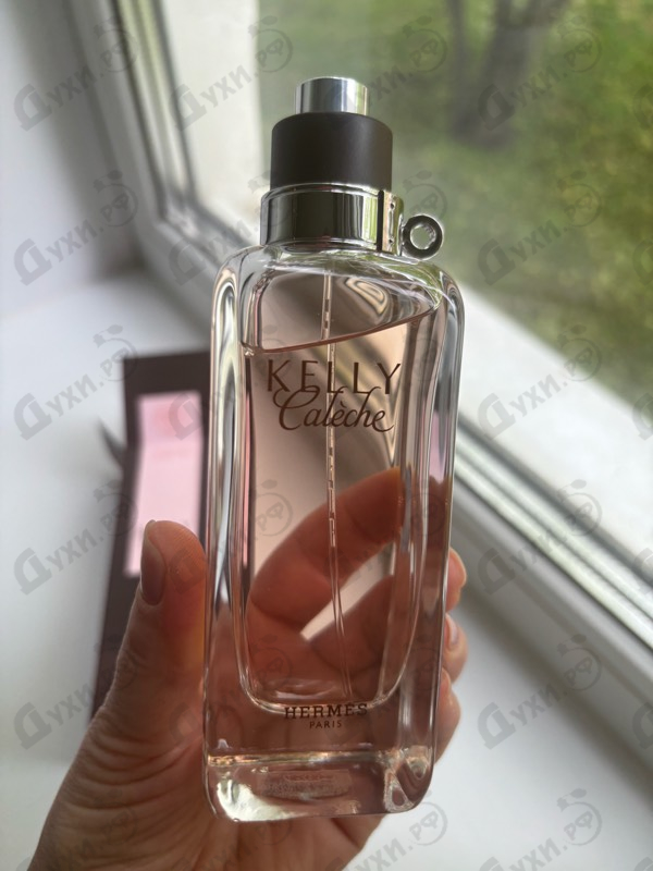 Купить Hermes Kelly Caleche