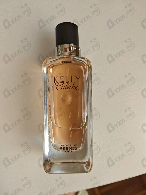 Купить Kelly Caleche от Hermes