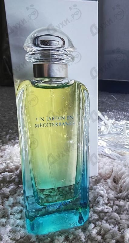 Купить Un Jardin En Mediterranee от Hermes