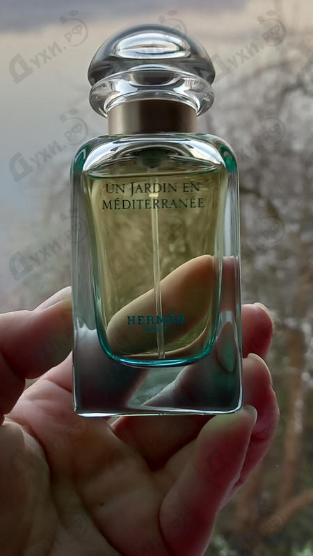 Парфюмерия Un Jardin En Mediterranee от Hermes