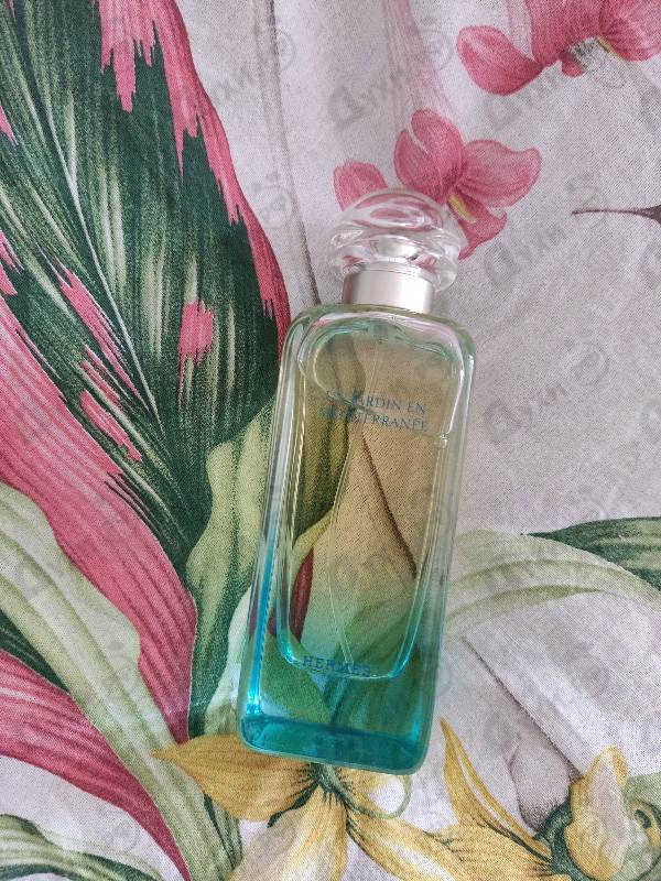 Купить Un Jardin En Mediterranee от Hermes