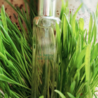 Духи Un Jardin Sur Le Nil от Hermes