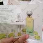 Отзывы Hermes Un Jardin Sur Le Nil